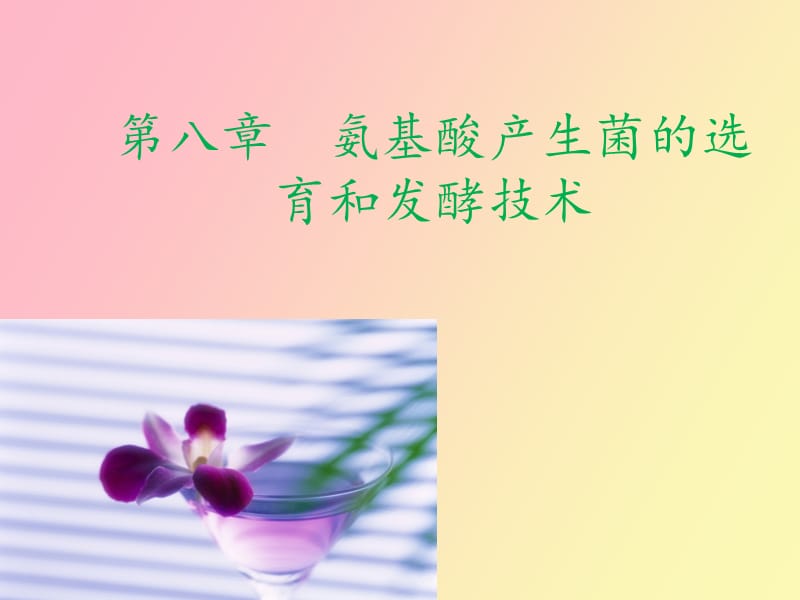 氨基酸产生菌的选育和发酵技术.ppt_第1页