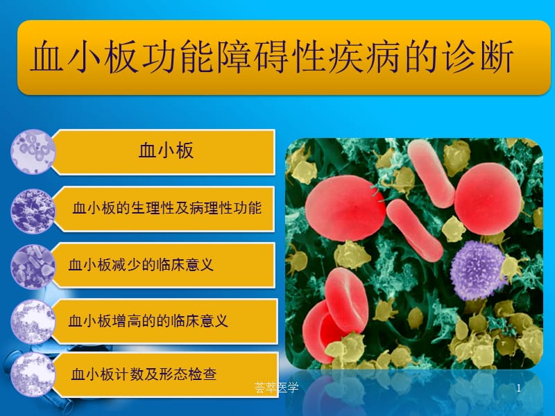 血小板功能障碍性疾病的诊断#专业医疗.ppt_第1页