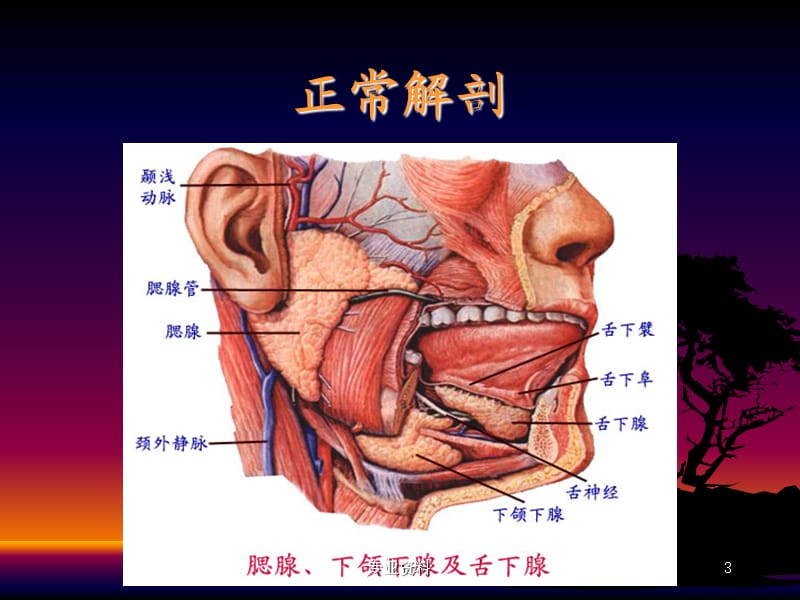 腮腺区常见病变的CT鉴别诊断#专家指导.ppt_第3页