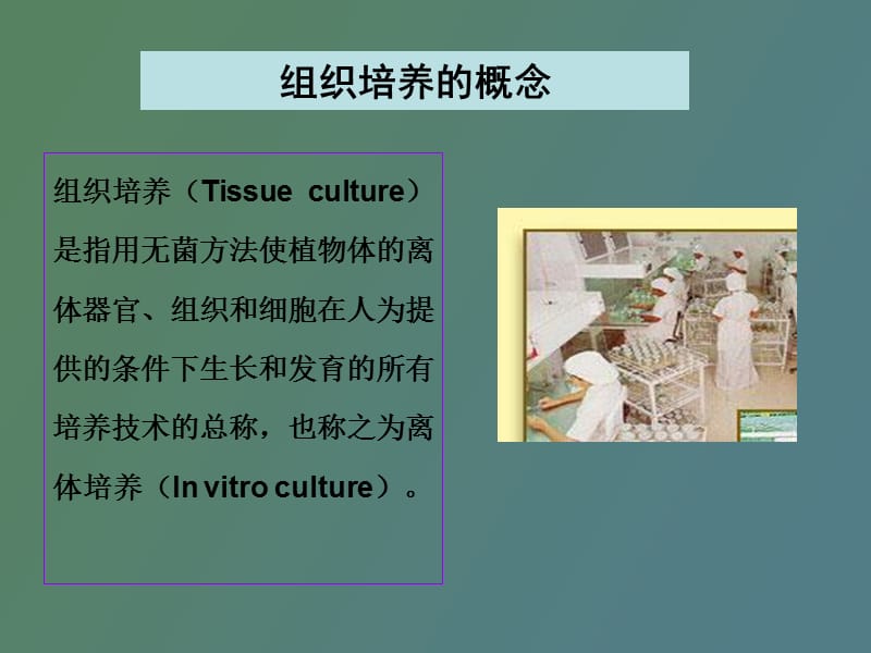 植物离体培养育种.ppt_第2页