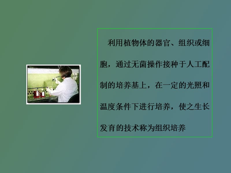 植物离体培养育种.ppt_第3页