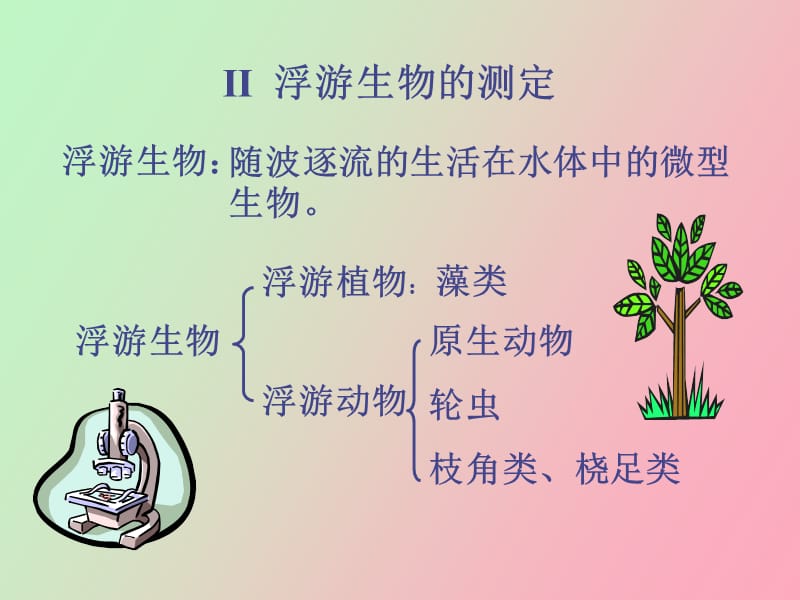 浮游生物的测定.ppt_第1页