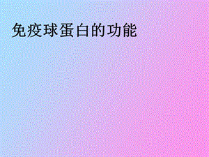 疫球蛋白的功能.ppt