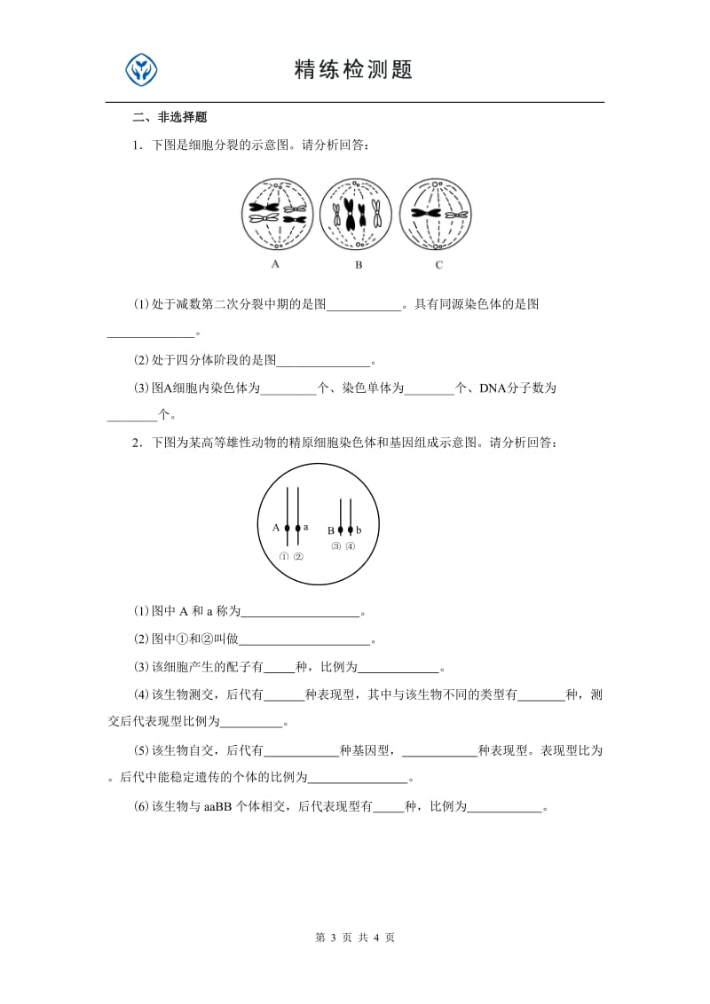 高中生物必修2第二章.doc_第3页