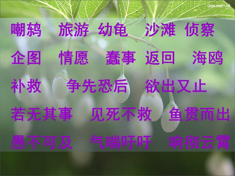 《自然之道》课件2.ppt_第2页