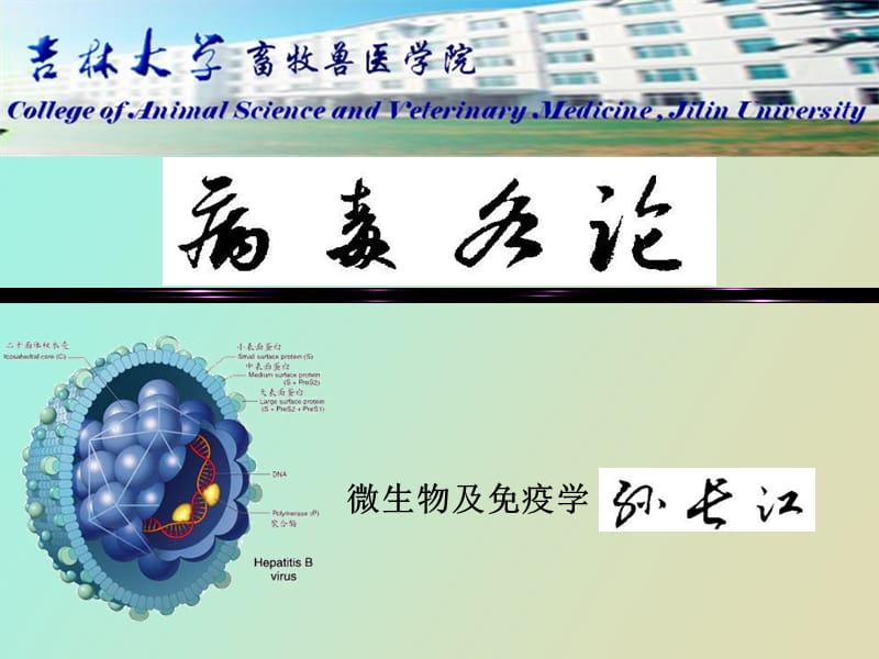 畜牧微生物学畜牧微生物病毒学各论.ppt_第1页