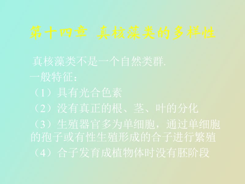 真核藻类的多样性.ppt_第3页