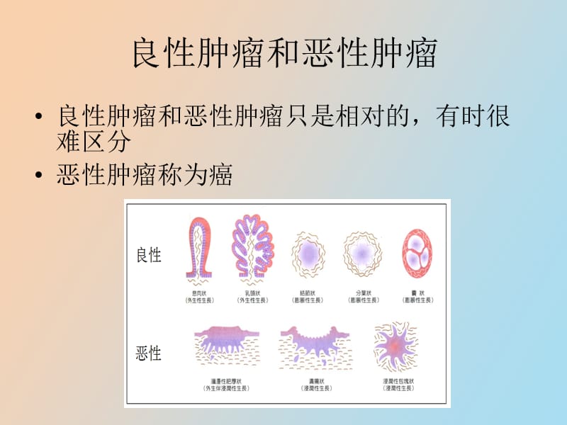 甲基化基因检测与肿瘤早期发现.pptx_第2页