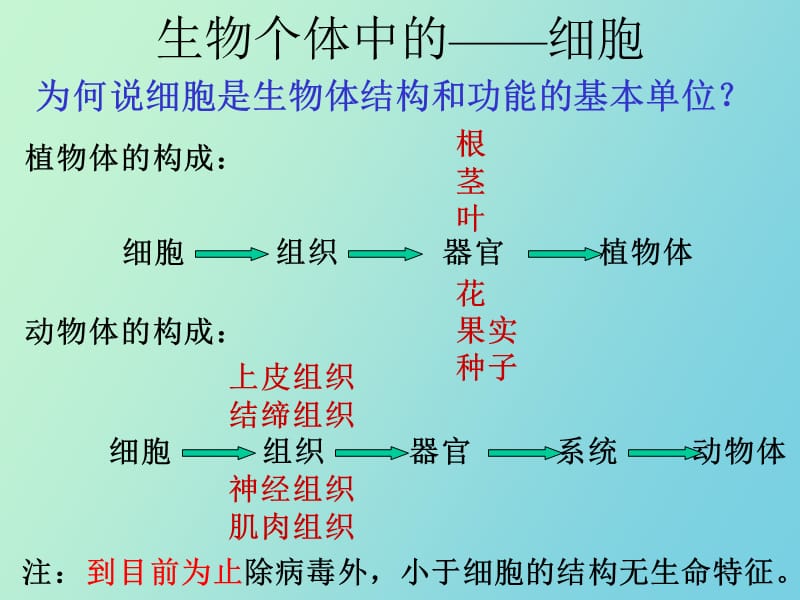 生命的结构基础.ppt_第2页