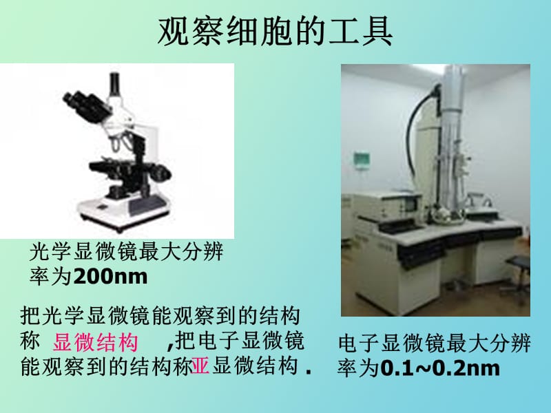 生命的结构基础.ppt_第3页