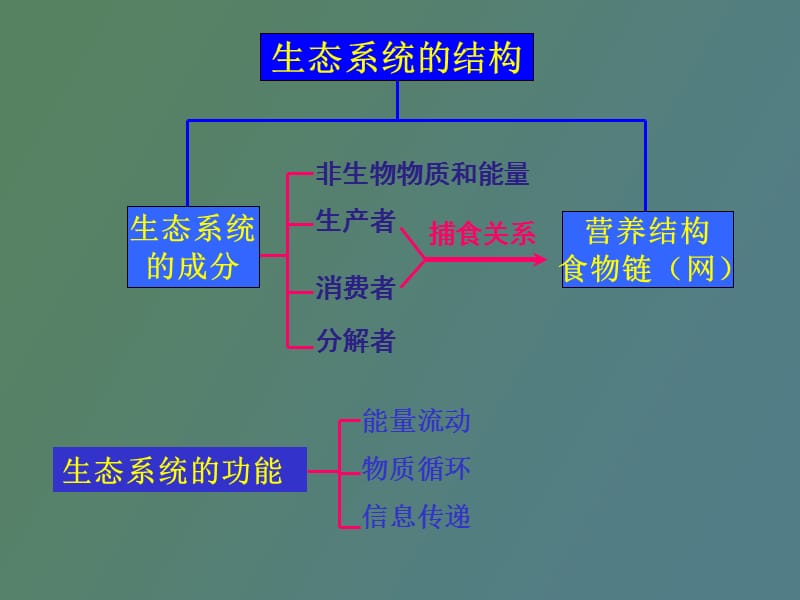 生态系统稳态复习.ppt_第3页