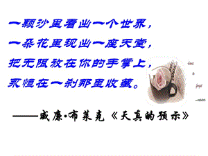 《半张纸》课件.ppt