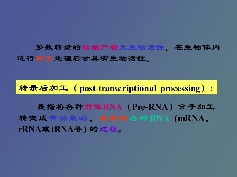 真核生物转录后的加工.ppt_第2页