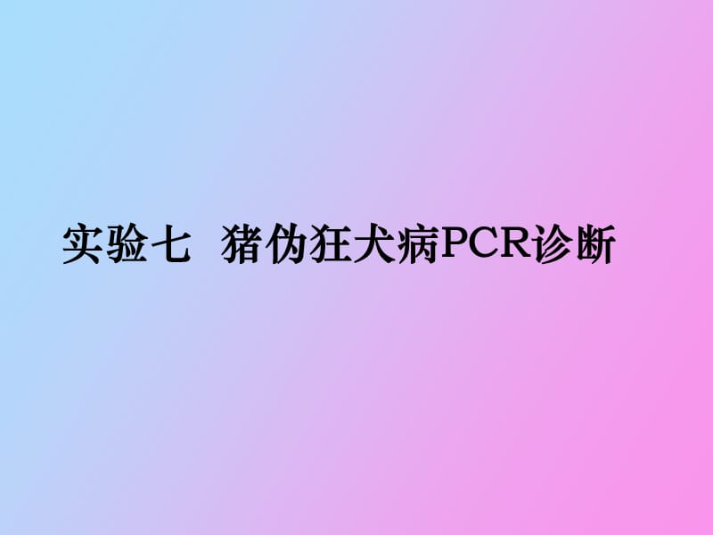 猪伪狂犬病的PCR诊断.ppt_第1页