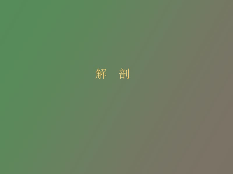 眶上裂综合症、眶尖综合症.ppt_第2页