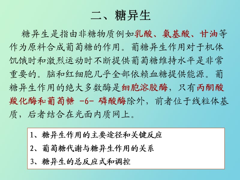 糖代谢的其他途径.pptx_第1页