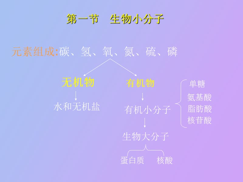 细胞的分子基础和基本概念.ppt_第3页