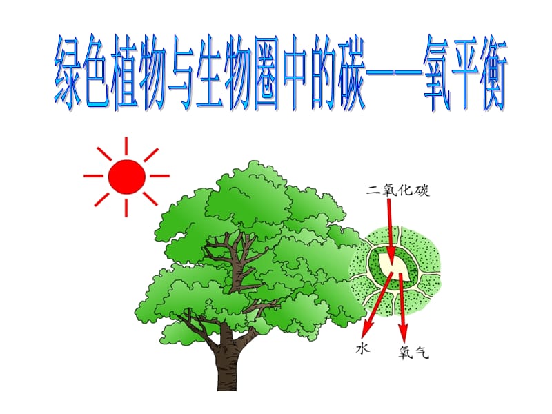 碳氧平衡课件.ppt_第1页