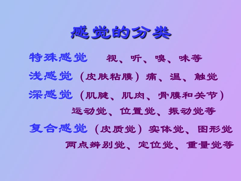 神经系统感觉障碍.ppt_第3页