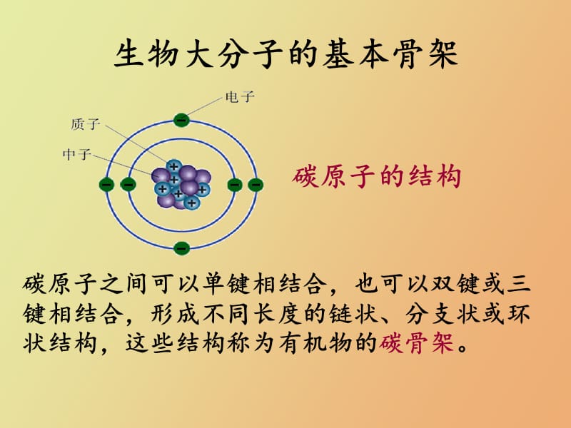 细胞中的大分子物质.ppt_第3页