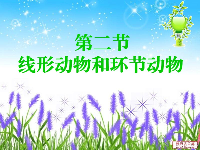 线形动物和环节动物.ppt_第1页