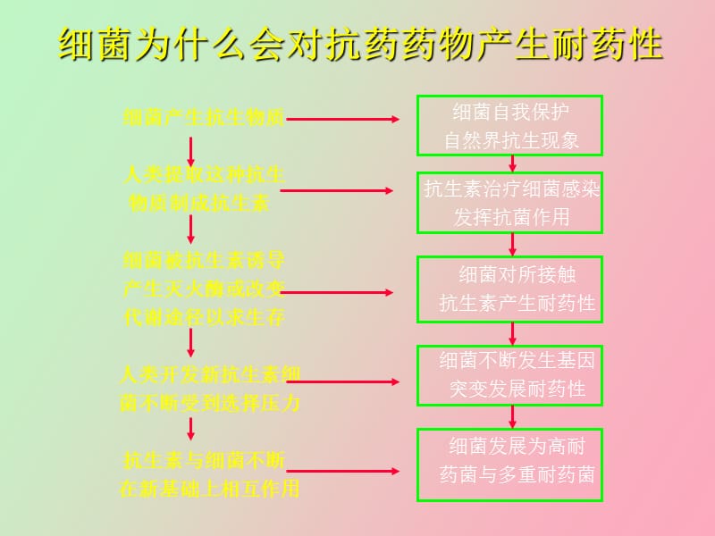 细菌耐药监测与抗菌药物的合理使用.ppt_第3页