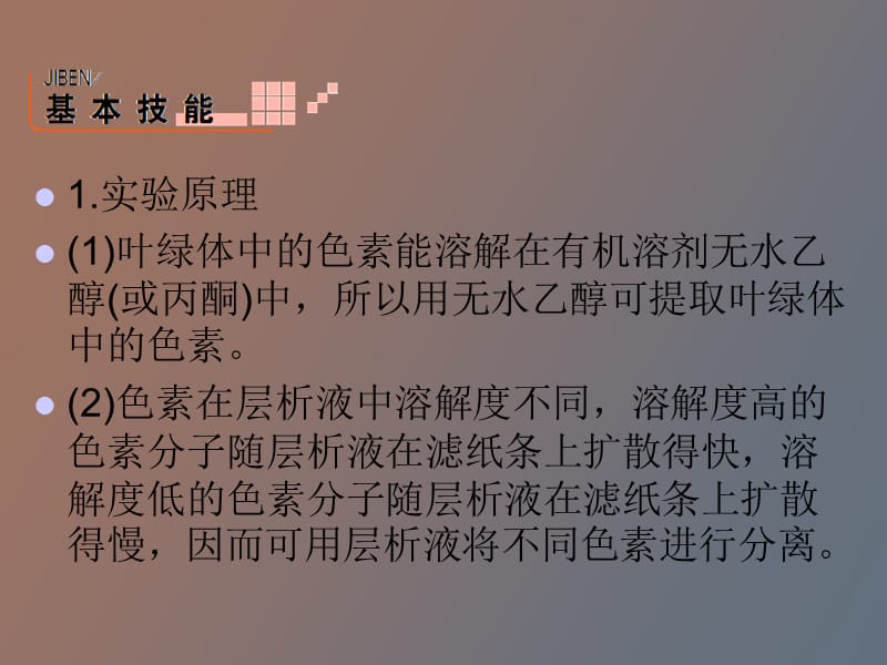 绿叶中色素的提取和分离.ppt_第2页