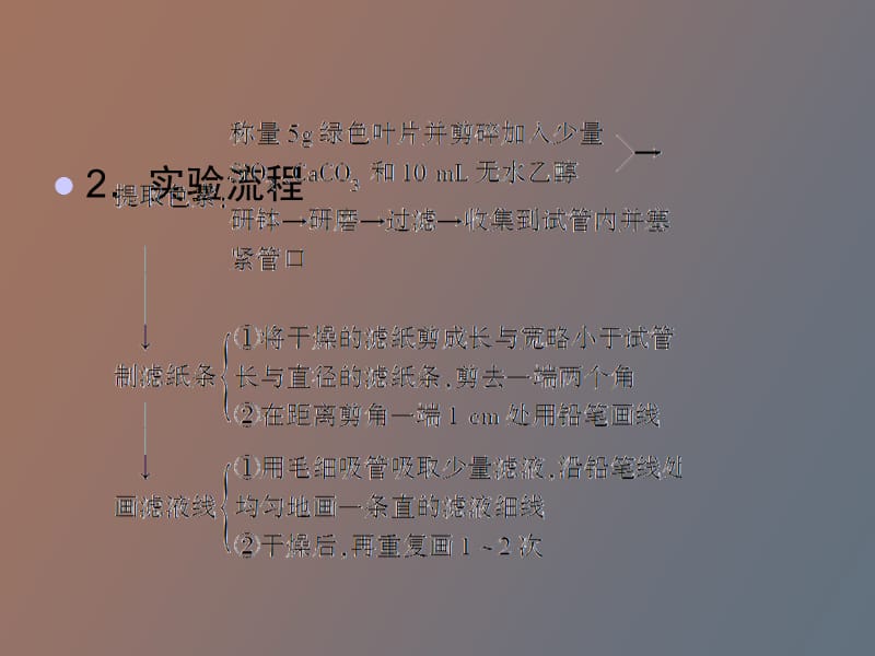 绿叶中色素的提取和分离.ppt_第3页