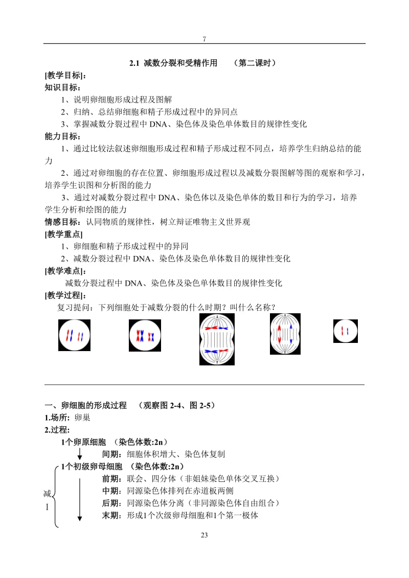 21减数分裂和受精作用（第二课时）.doc_第1页