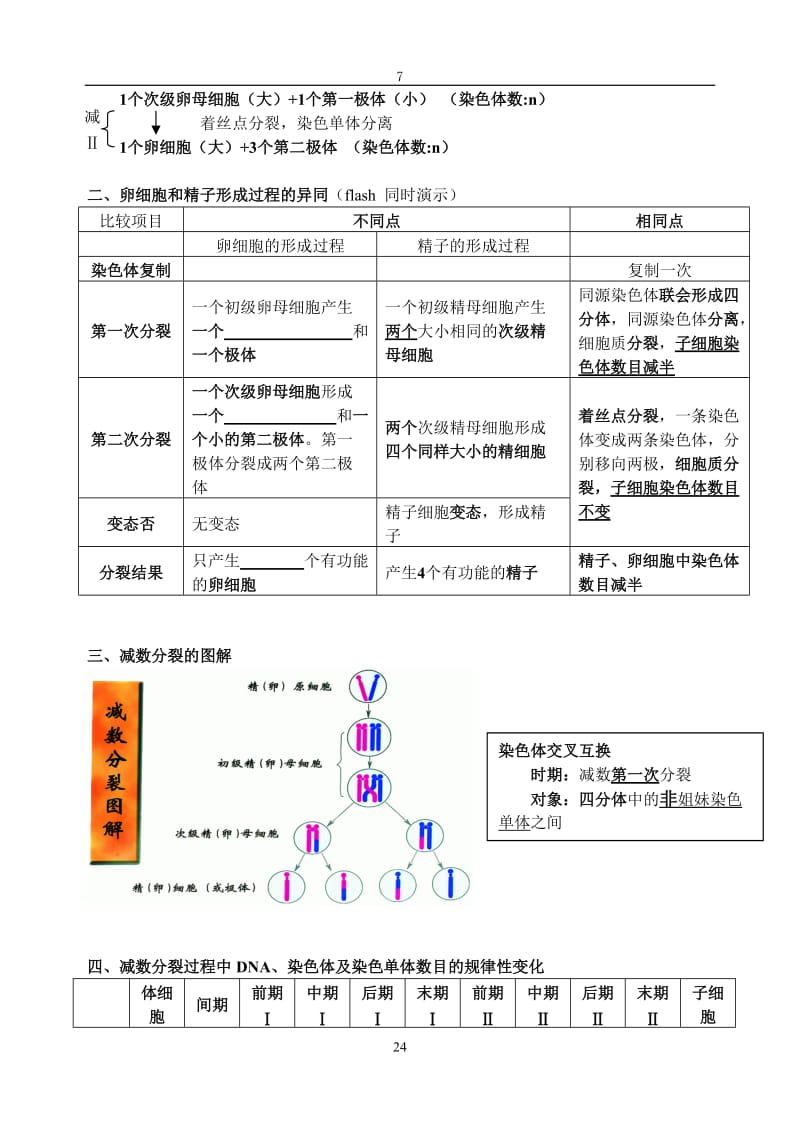 21减数分裂和受精作用（第二课时）.doc_第2页