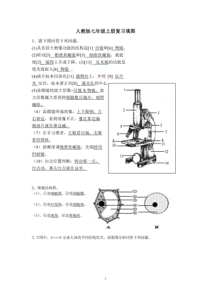 七年级上册生物复习填图.doc