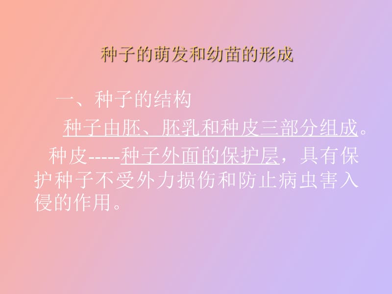 种子及植物的营养器官.ppt_第3页