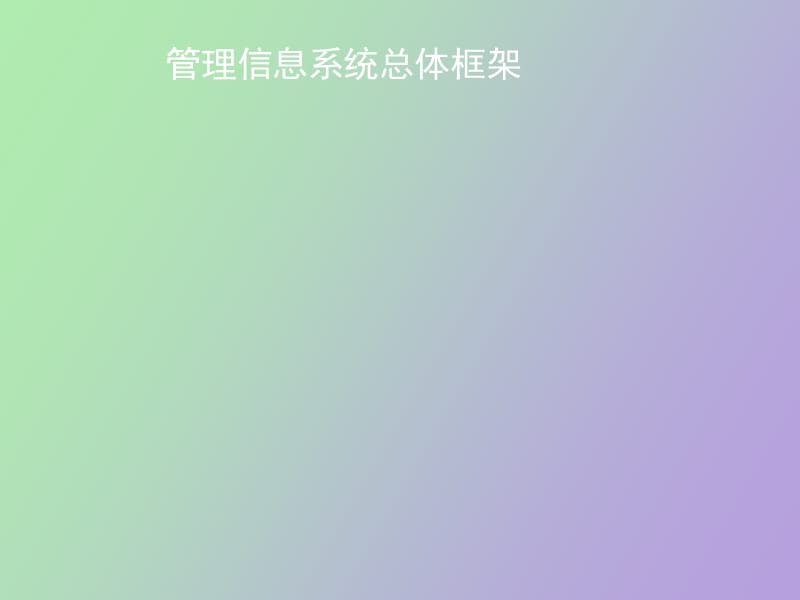 管理信息系统的开发.ppt_第1页