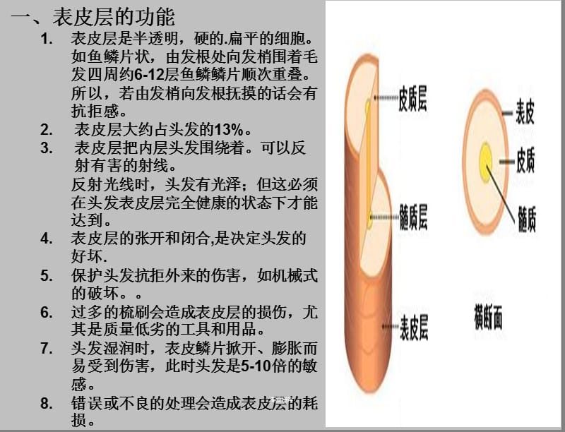 美发洗护 美发培训洗护课件含练手操、穴位认识【优质材料】.ppt_第3页