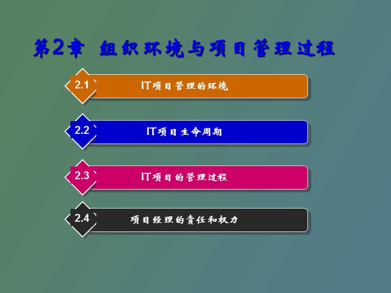 组织环境和项目管理过程.ppt_第1页