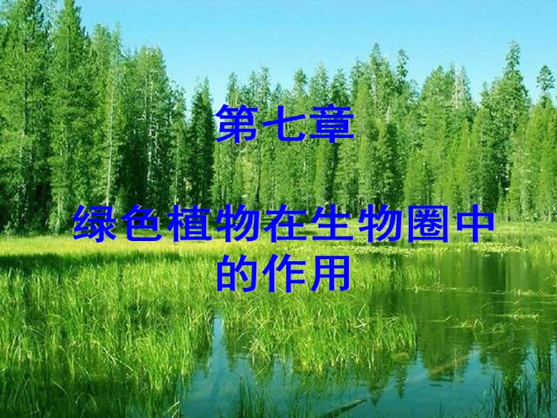 绿色植物在生物圈中的作用.ppt_第1页