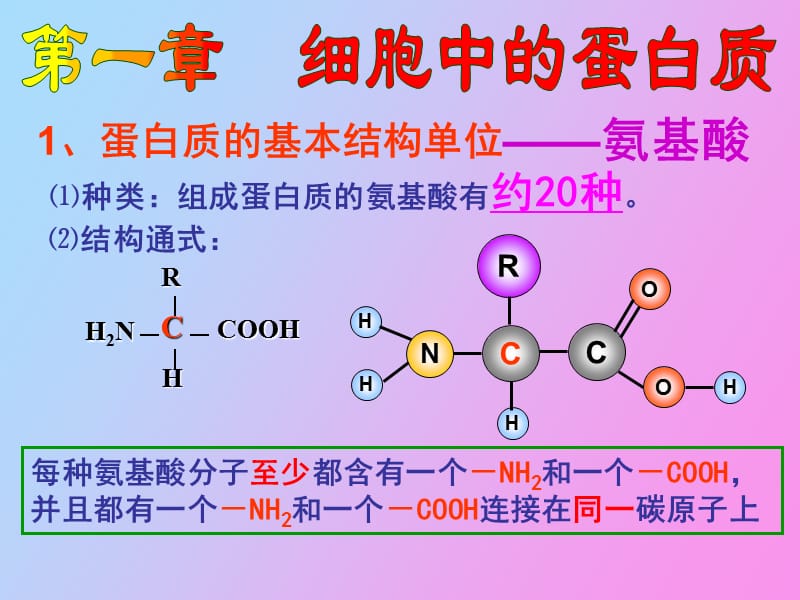 细胞的自我保障.ppt_第2页