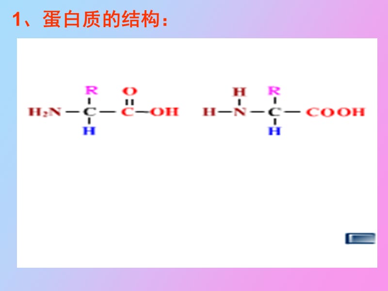 细胞的自我保障.ppt_第3页