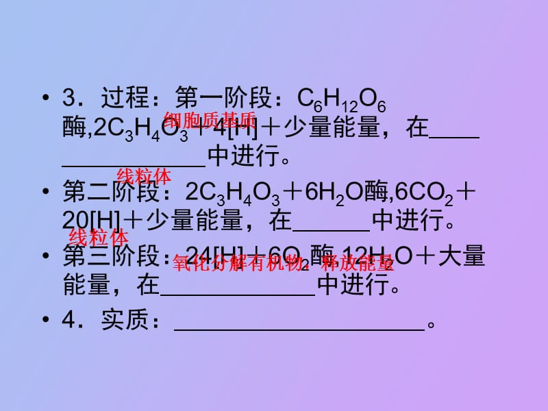 细胞呼吸、新陈代谢的基本类型.ppt_第3页