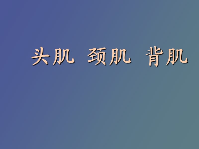 系统解剖学躯干肌、头肌、颈肌.ppt_第1页