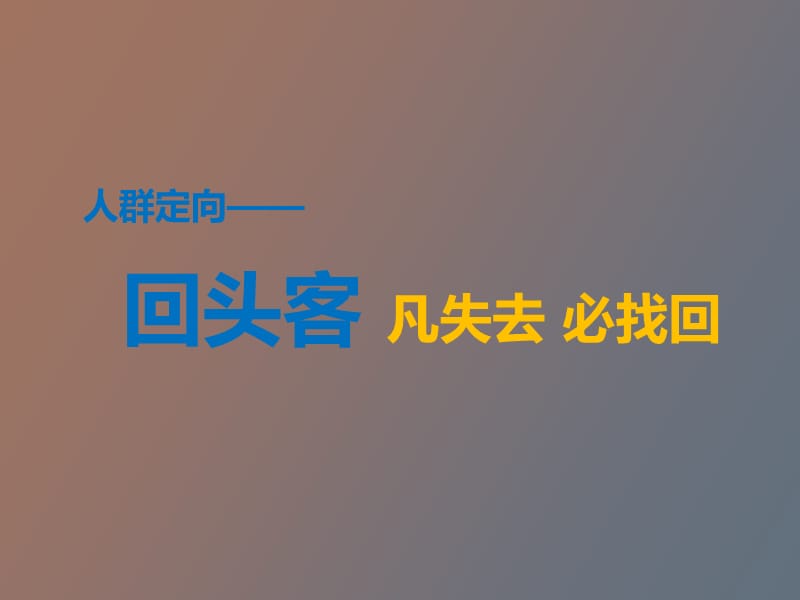 网盟推广人群定向回头客产品说明.pptx_第2页