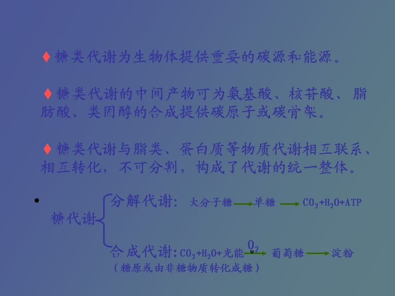 糖类代谢为生物体提供重要的碳源和能源.ppt_第2页