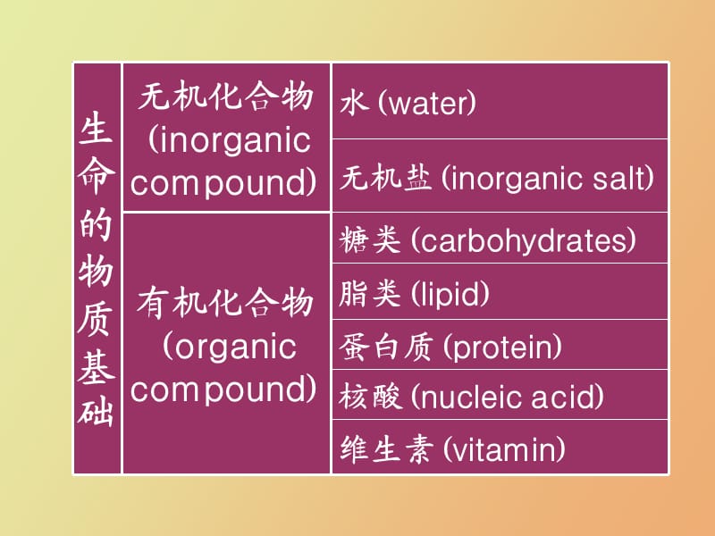 细胞的分子基础.ppt_第3页