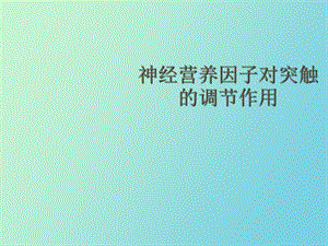 神经营养因子对突触的调节作用.ppt