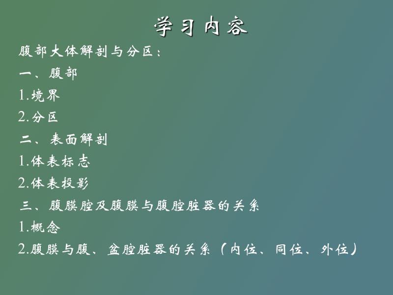 腹部大体解剖与分区.ppt_第2页