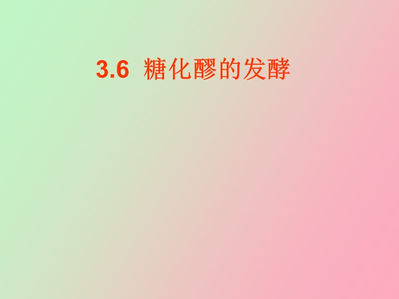 糖化醪的发酵.ppt_第1页