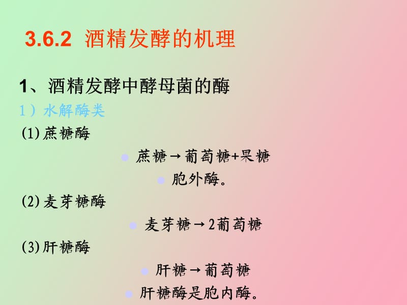 糖化醪的发酵.ppt_第3页