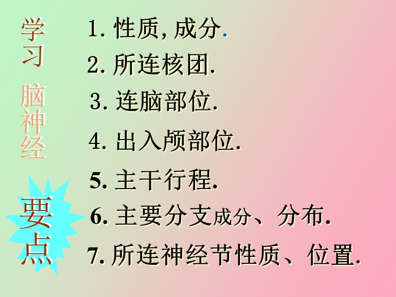 脑神经系统脑神经.ppt_第2页