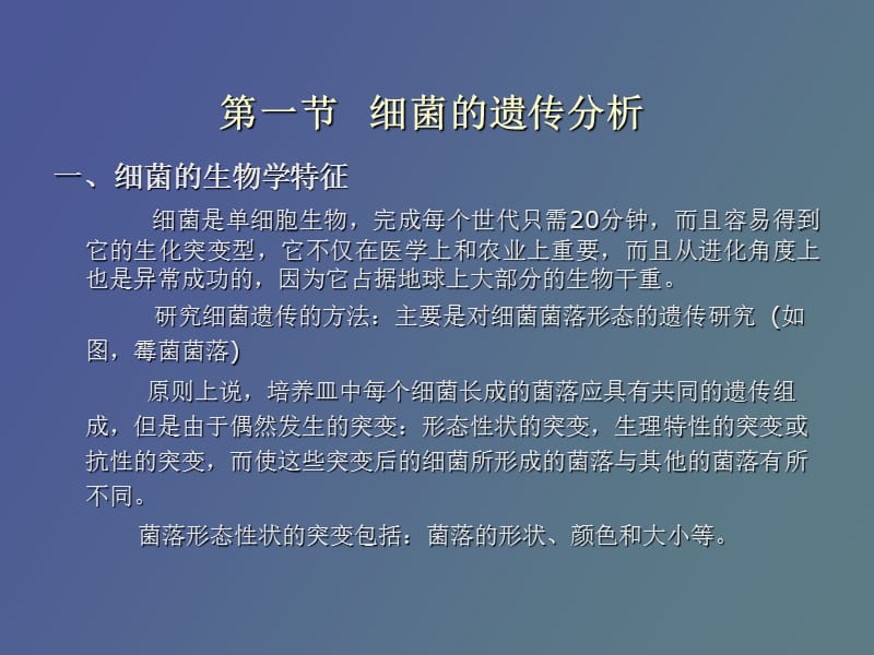 细菌和噬菌体的遗传分析.ppt_第2页