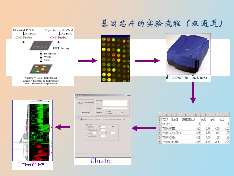 芯片数据预处理方法.pptx_第3页